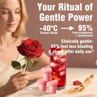 Saipin Rose American Ginseng Tea | Large Box (20 Capsules)